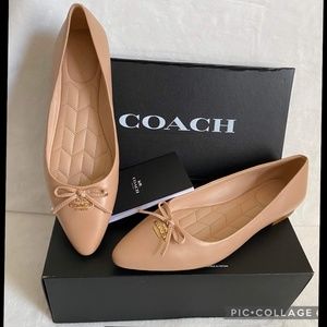 Brand New(NIB)Coach Annabel Leather Ballet Shoes